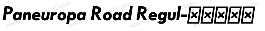 Paneuropa Road Regul字体转换